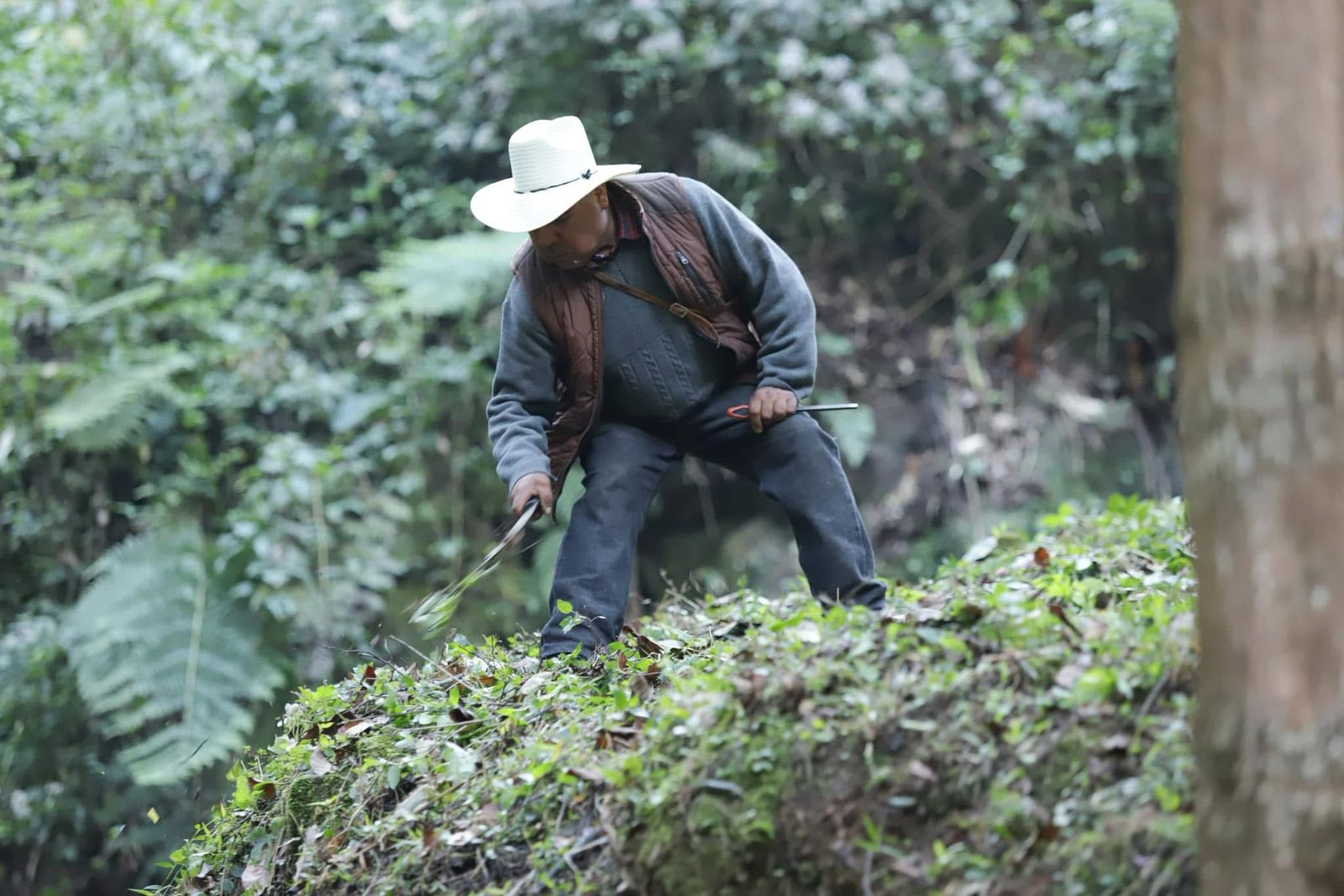 Gobierno estatal reconoce a Chignautla como ejemplo en la faena y tequio