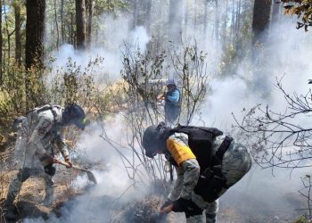 Tlaxcala reconoce colaboración con Puebla para  atención de incendio forestal en Libres-Atltzayanca