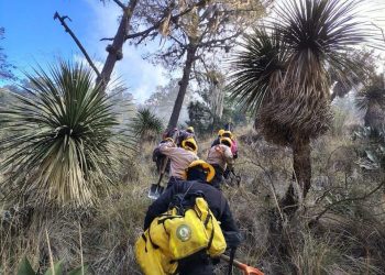 Estrategia para recuperar el ecosistema afectado por el incendio forestal en Tlaxcala