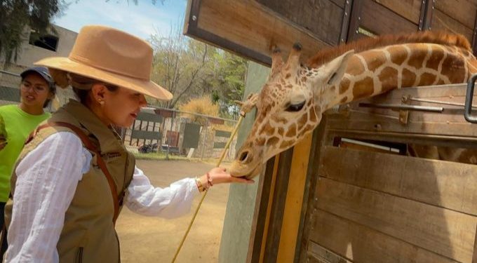 EdoMex y Guadalajara intercambian experiencias en materia de bienestar animal