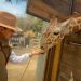 EdoMex y Guadalajara intercambian experiencias en materia de bienestar animal