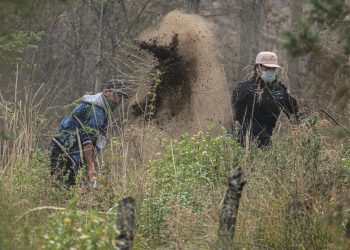 Alcanza un 100% el combate a incendio en Atltzayanca, territorio bajo control
