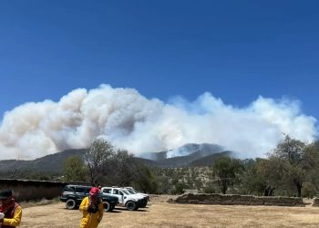 Continúa gobierno estatal trabajos de combate de incendios forestales