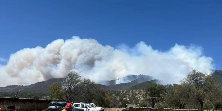 Continúa gobierno estatal trabajos de combate de incendios forestales