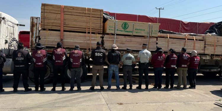 Autoridades aseguran tracto-camión con madera ilegal en la México-Cuernavaca