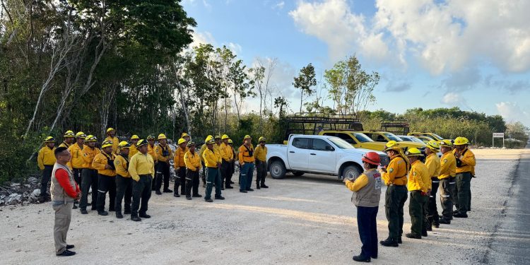 Se activa el Equipo Estatal de Manejo de Incidentes para combatir el incendio forestal “El Porvenir” en Isla Mujeres