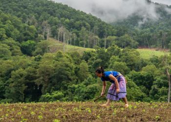 Las comunidades del norte de Tailandia anteponen la naturaleza a las ganancias
