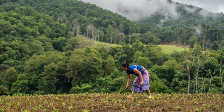Las comunidades del norte de Tailandia anteponen la naturaleza a las ganancias