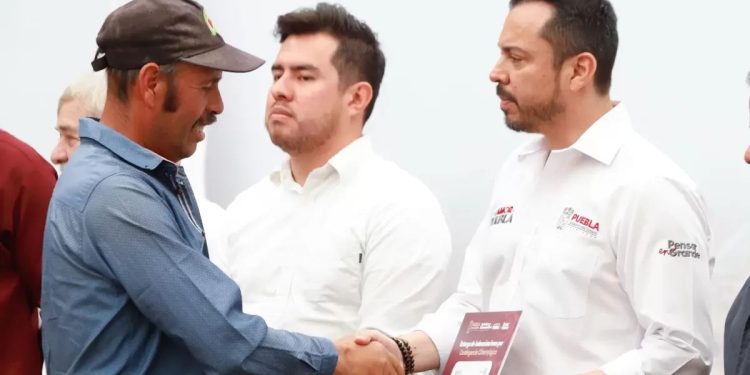 Con sensibilidad y justicia social, Gobierno apoya a productores afectados por heladas
