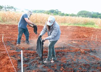 Biocarbón, alternativa para manejo sostenible del suelo: investigadores
