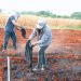 Biocarbón, alternativa para manejo sostenible del suelo: investigadores