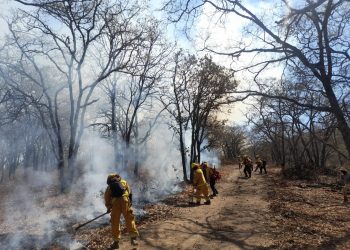 Suman 123 incendios forestales en 28 estados del país: CONAFOR