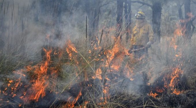Cárcel de hasta 10 años a quien provoque incendios forestales en EdoMex
