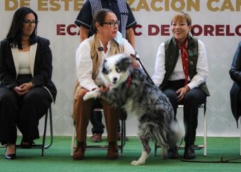 EdoMex lleva más 400 servicios gratuitos en Caravana por el Bienestar Animal a Ecatepec