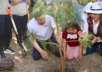 Puebla protege sus montañas y frena destrucción ambiental gracias a ecoparques