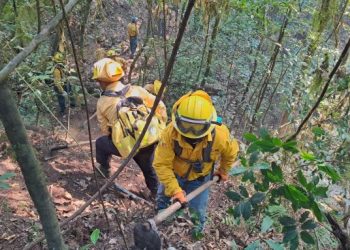 Menos del 1% del área forestal afectada por incendios; la mayoría han sido en pastizales en EdoMéx