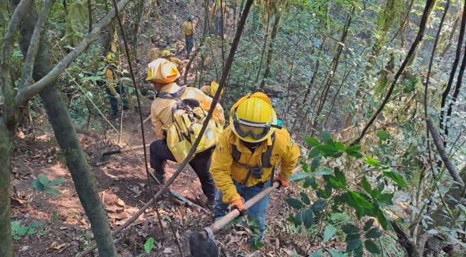 Menos del 1% del área forestal afectada por incendios; la mayoría han sido en pastizales en EdoMéx