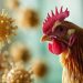 Muere la primera mexicana contagiada por influenza aviar A (H5N1)