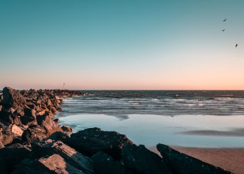 México requiere mayor conocimiento en ciencias acuáticas: UNAM