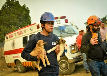 Brigadistas, Voluntarios y Militares atienden incendio en Atltzayanca, Tlaxcala