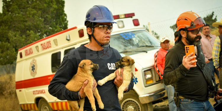 Brigadistas, Voluntarios y Militares atienden incendio en Atltzayanca, Tlaxcala