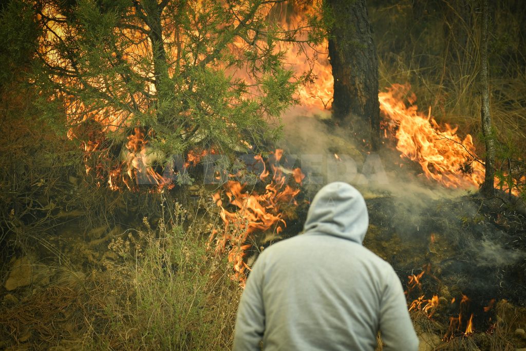 Fotografía: Enrique Chávez