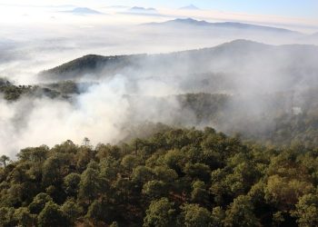 Dos personas detenidas por causar incendios forestales en Puebla: Armenta