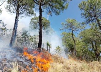 Incendios forestales en Puebla provocan mala calidad del aire