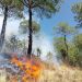 Incendios forestales en Puebla provocan mala calidad del aire