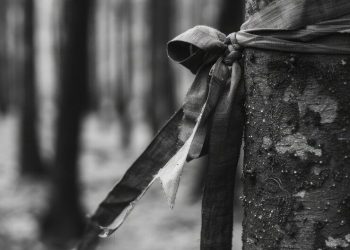 Fallece combatiente de Conafor, durante labores en Guerrero