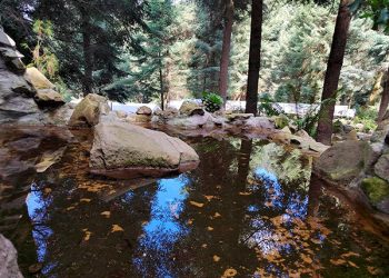 Estabilizan científicos de la UNAM el manantial Ojo de Agua