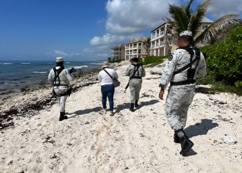 Operativo de Profepa en ecosistemas costeros y playas turísticas de 17 estados