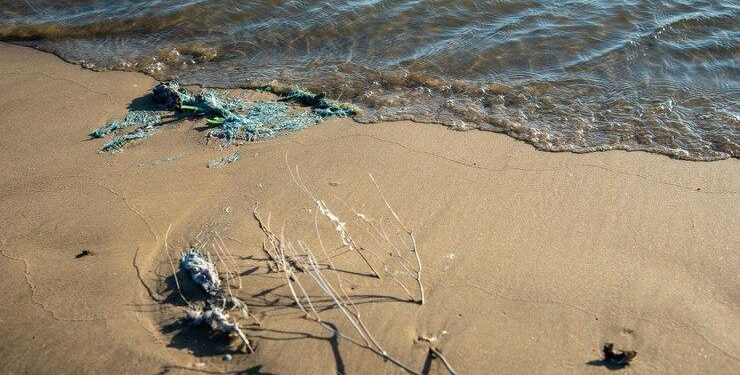 Playas seguras en semana santa: Cofepris