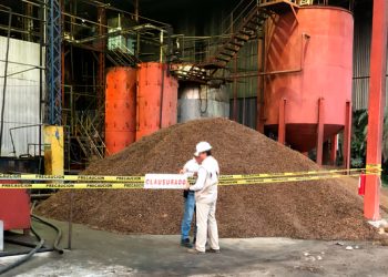 Profepa clausura 3 plantas extractoras de aceite de palma y un predio por extracción ilegal de barita, en Chiapas