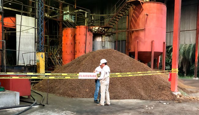 Profepa clausura 3 plantas extractoras de aceite de palma y un predio por extracción ilegal de barita, en Chiapas