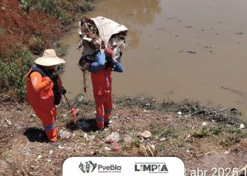 Organismo Operador realiza limpieza en Vaso Regulador Puente Negro