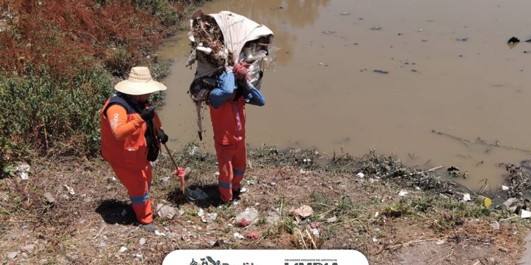 Organismo Operador realiza limpieza en Vaso Regulador Puente Negro