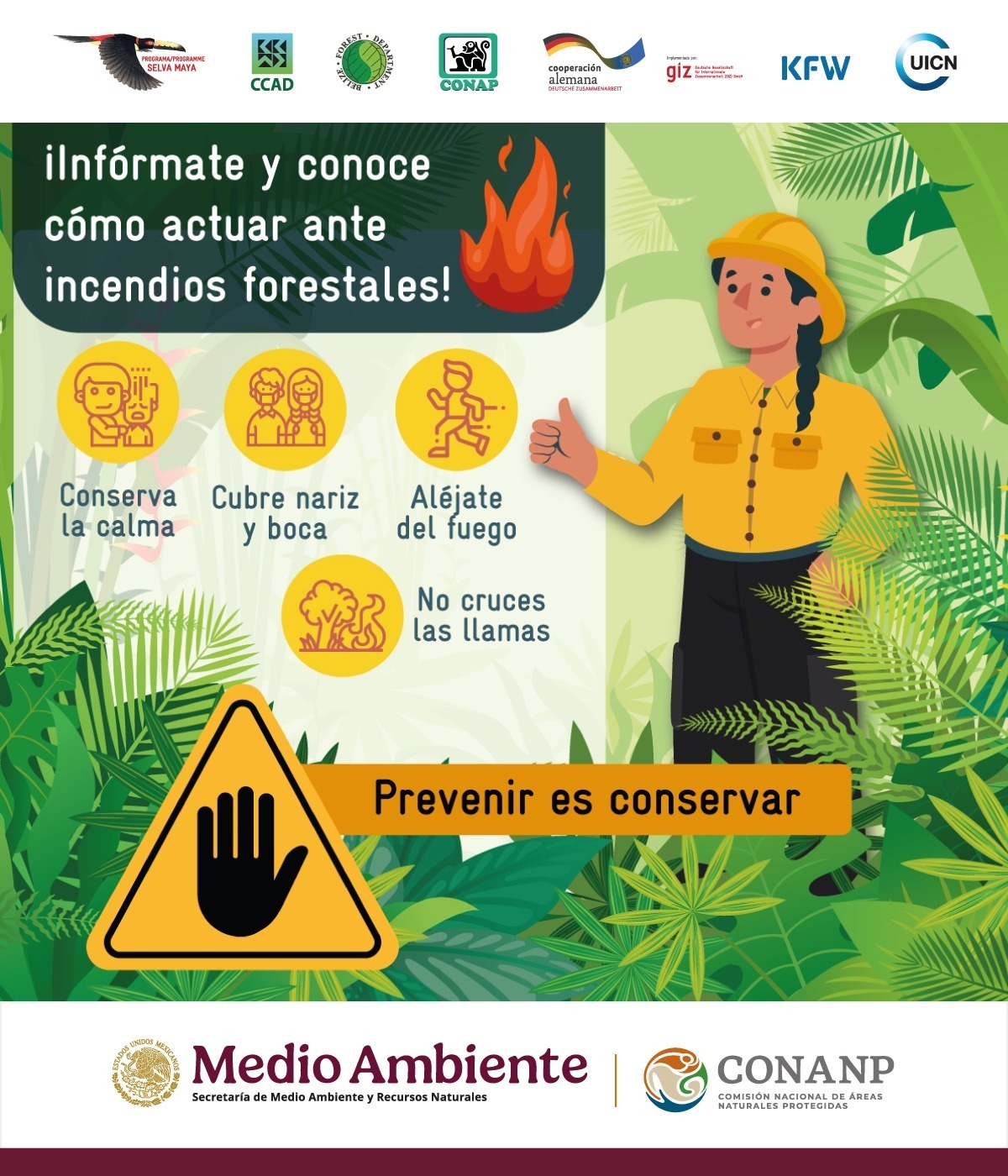 México, Guatemala y Belice preveen incendios forestales en la Selva Maya