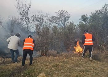 Alcanza un 100% el combate a incendio en Atltzayanca, territorio bajo control