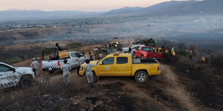 Controlado en un 75% incendio forestal de Tomaltepec, Oaxaca