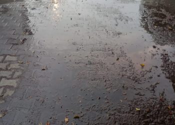 Reportan fuga de agua en Jardines de Santa Rosa