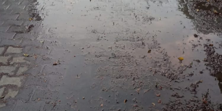 Reportan fuga de agua en Jardines de Santa Rosa