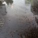 Reportan fuga de agua en Jardines de Santa Rosa