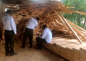 Profepa clausura 14 aserraderos en Altamirano, Chiapas