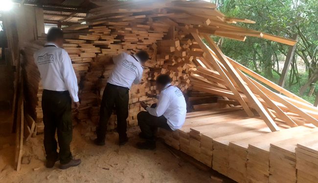 Profepa clausura 14 aserraderos en Altamirano, Chiapas