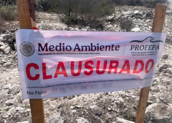 Profepa clausura obras de remoción de vegetación en terrenos de uso común del Ejido Corcovada, en SLP