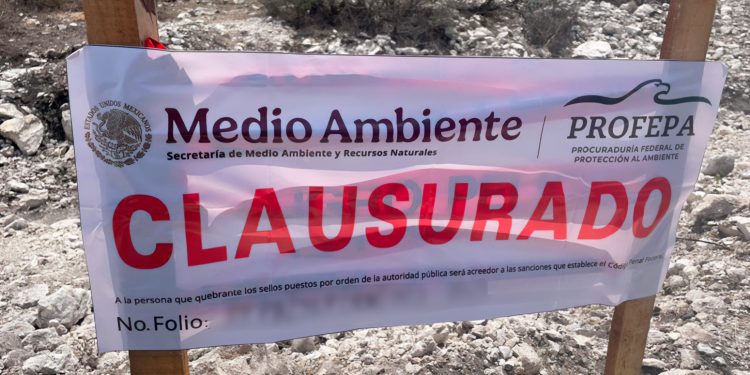 Profepa clausura obras de remoción de vegetación en terrenos de uso común del Ejido Corcovada, en SLP