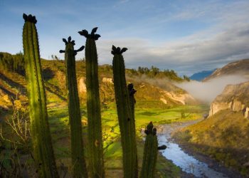 Foros de Consulta Ciudadana para Programa Sectorial de Medio Ambiente