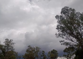 Emite Gobierno de la Ciudad recomendaciones ante pronóstico de lluvias y vientos en las próximas 48 horas