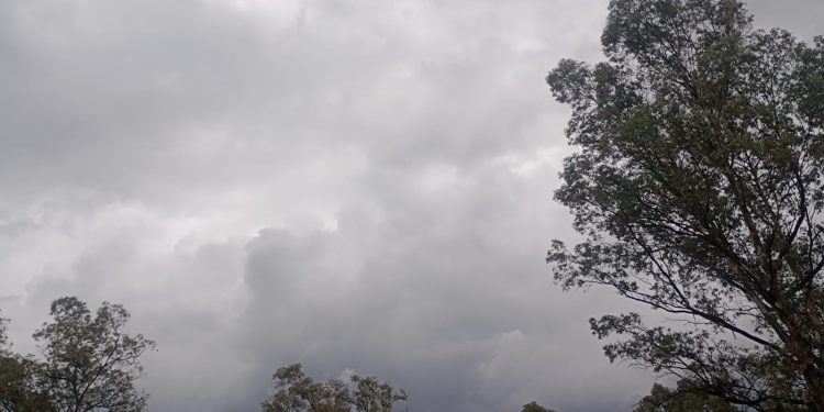 Emite Gobierno de la Ciudad recomendaciones ante pronóstico de lluvias y vientos en las próximas 48 horas